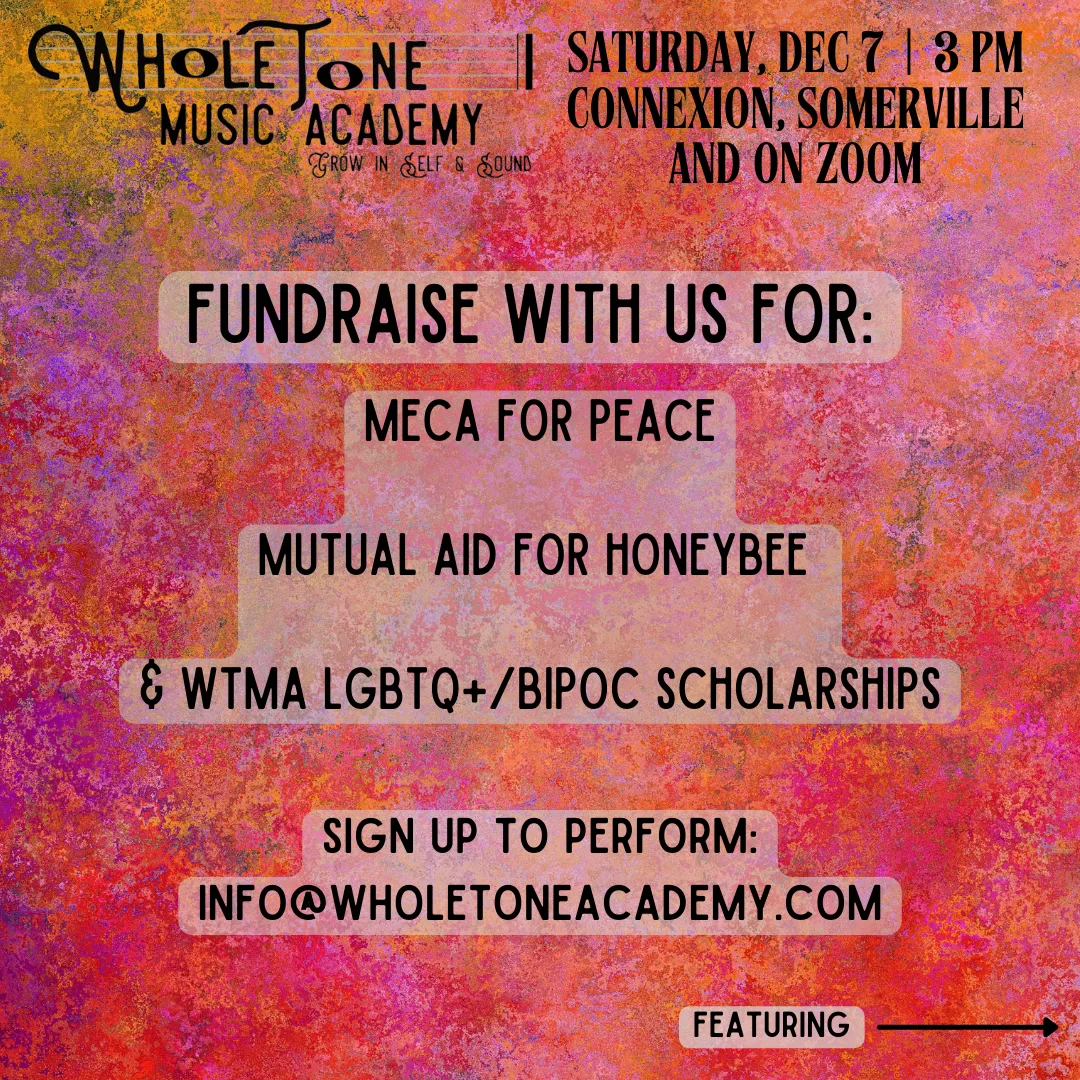 Our next Open Mic is coming up on Saturday, December 7th at 3pm at Connexion! Suggested donation $5-$50, NOTAFLOF. We will be dividing our proceeds between our Music Access Program, MECA for Peace, and a trans two-spirit disabled healer/artist named Honeybee. Honeybee is in great financial need after a life-altering emergency surgery.

Let us know if you’d like to perform! We will reserve 10 spots for WTMA students, and the other 10 are open to community members. We are also excited that our colleagues Lina Malshy and Alejandro Castellano will be presenting a Workshop on Arabic Music as our featured performers.